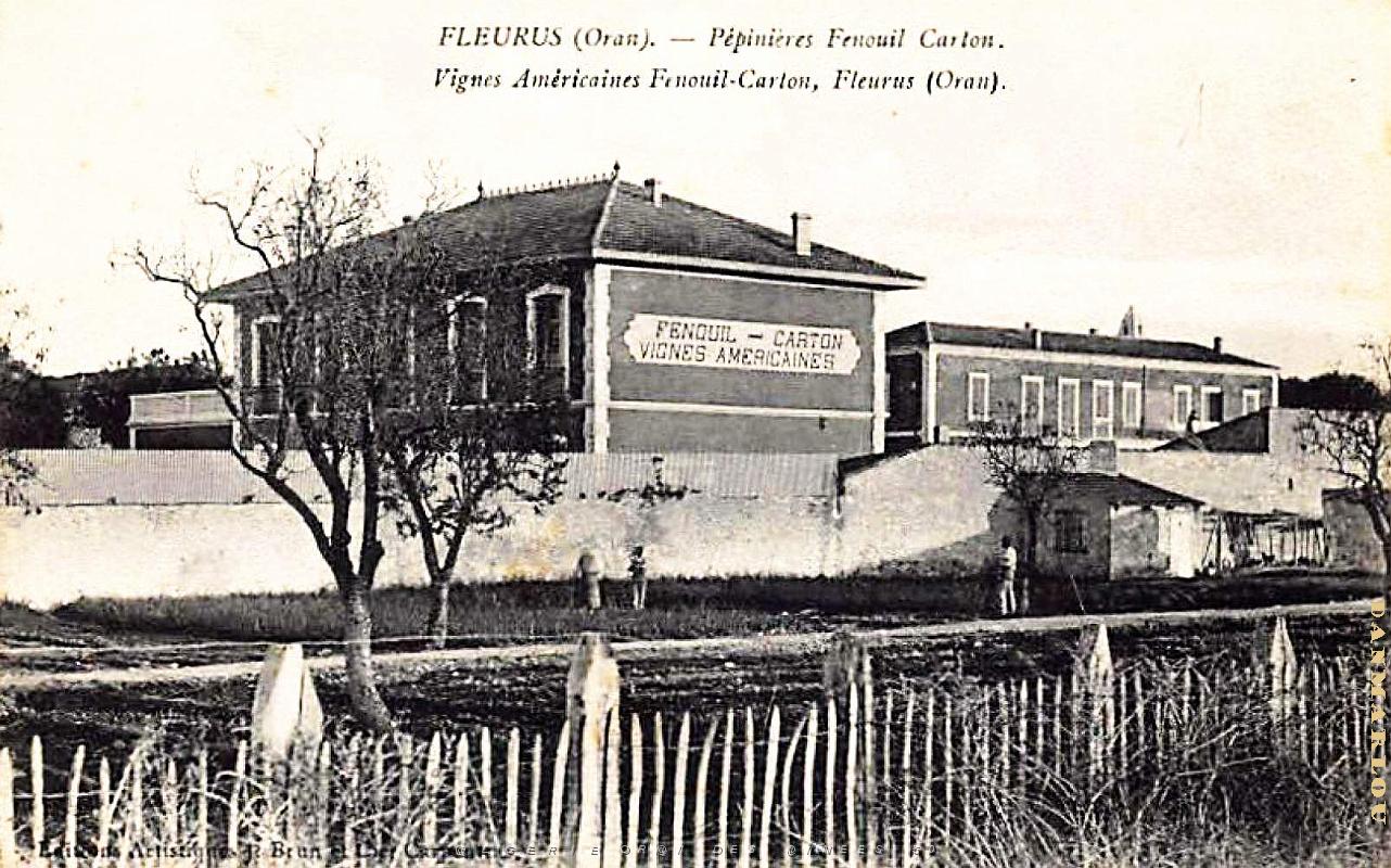 Fleurus - Pepinieres Fenouil-Carton.jpg